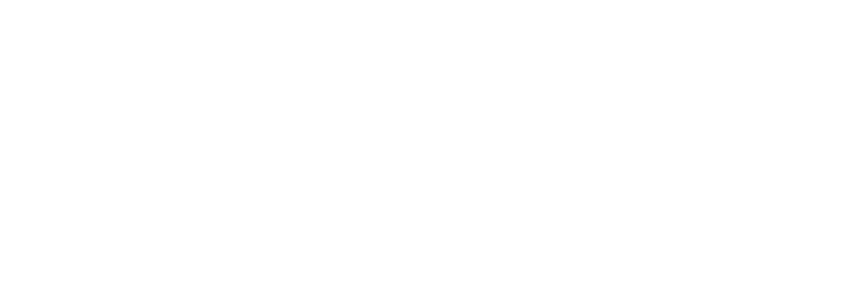 Marcus Camicie Logo